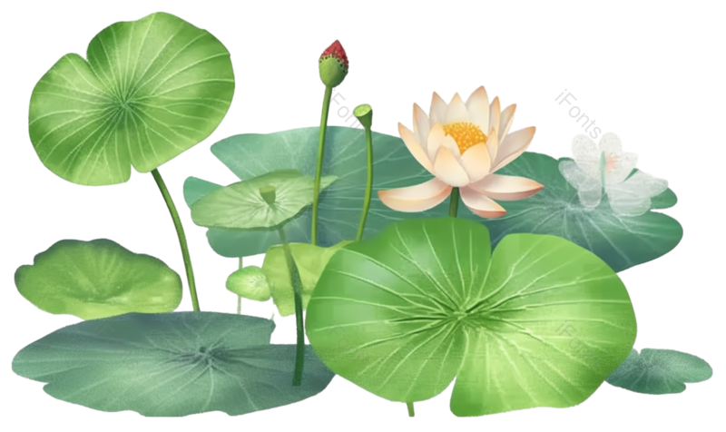 装饰图片,纹理元素,元素PNG,清新免抠素材
